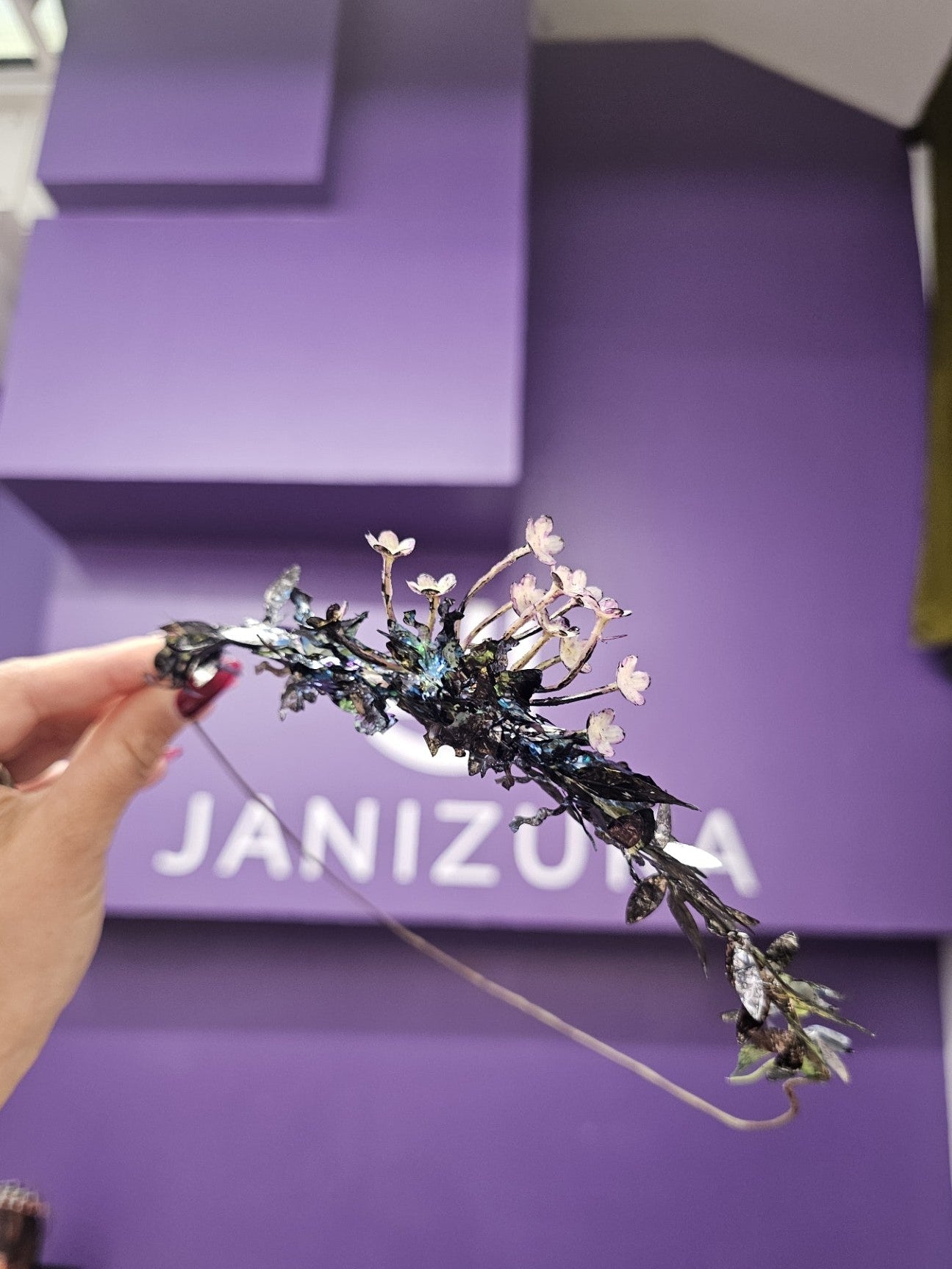 Decorative headband held by a hand in front of a purple wall with 'JANIZZIA' branding.